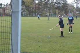 Image result for Cornwall Shinty Club