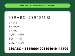 Image result for %EF%BC%92%EF%BC%90%EF%BC%90%EF%BC%B6%E3%80%80%EF%BC%93%E6%9C%AC%E3%