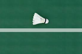 Image result for Shuttlecocks Badminton Club