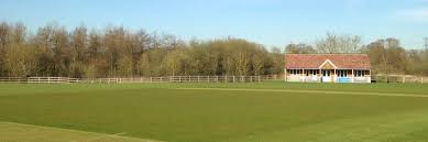 Image result for All Cannings Cricket Club