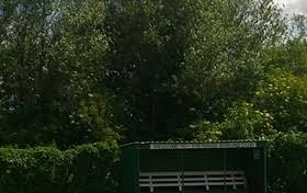 Image result for Black Swan Crown Green Bowling Club