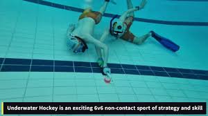 Image result for TAROT Octopush Club