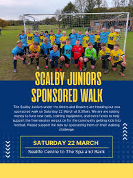 Image result for Scalby Cricket Club