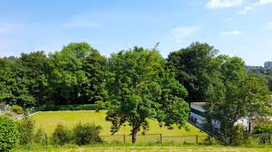 Image result for High Hazels Park Bowling Club