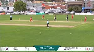 Image result for Wokingx1 Cricket Club