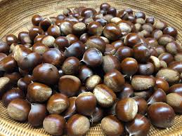 「アボカド大臣」の画像検索結果