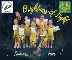Image result for Novos Netball Club