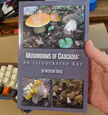 Attēlu rezultāti vaicājumam “Lycogala sphaeroconicum macro”