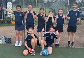 Image result for Camelot Netball Club