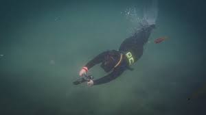 Image result for Kingston & Elmbridge Junior Snorkelling Club