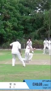 Image result for South Weald Cricket Club