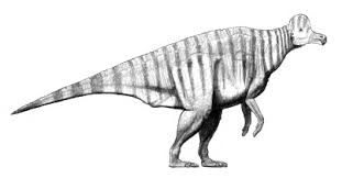 Bildergebnis für corythosaurus
