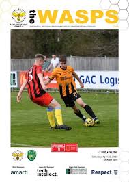 Image result for Ashford Tanners Handball Club