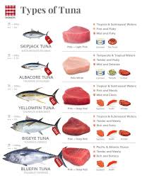 Image result for Thunnus obesus