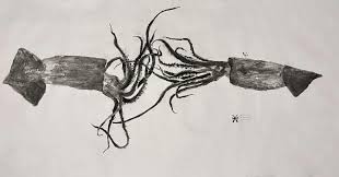 Image result for Dosidicus gigas