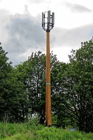 Image result for Mill Hill Sports Club