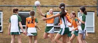 Image result for Elmbridge Netball Club