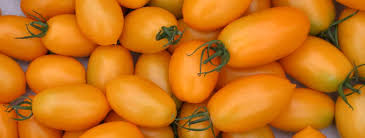 Afbeeldingsresultaat voor banana legs tomato