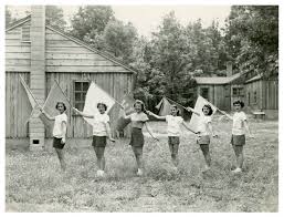 Image result for Saltire Twirlers