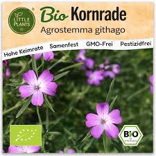 Image result for Kornrade