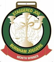 Image result for Burnham Joggers