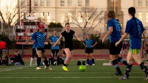 Image result for Gotham Soccer League