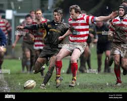 Image result for Bideford Rugby Football Club