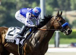 Image result for Epsom Z-Tri