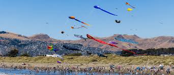 Image result for Brighton Kite Fliers