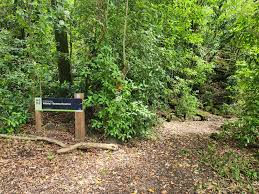 Image result for Withiel