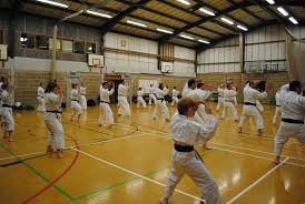 Image result for Colchester Wado Ryu Karate