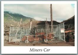 Image result for St Helens Miners