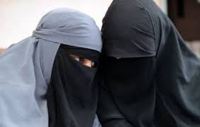 images?q=tbn:ANd9GcTQyk_jrgJKG7TijM8p_5k_2UbE41wnEG5TnUX2MVD0V9VtD__W