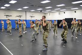 Image result for Mavet Phoenix Tactical Division