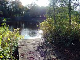 Image result for Penketh & Old Hall Angling Society