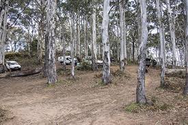 Image result for Strathbogie Rambling Club