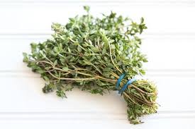 Image result for Thymian