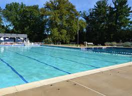 Image result for Odiham swim club