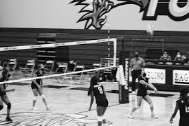 Image result for White Eagles Volleyball Club