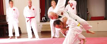 Image result for Hachidori ju-jitsu Martial Arts