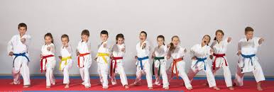 Image result for Atherstone Karate Club