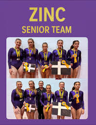 Image result for Swallows Of Helston Gymnastics Club