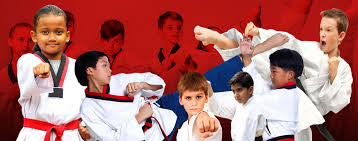 Image result for New Milton Taekwondo Club