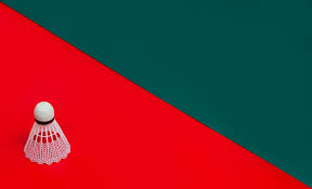 Image result for Shaw Badminton Club