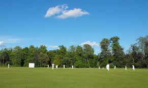 Image result for LITTLE GADDESDEN CRICKET CLUB