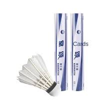 Image result for Flight Badminton Club