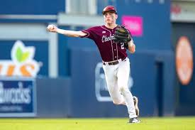 Image result for Chelmsford  - Writtle Angels Badminton Players