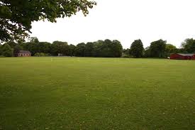 Image result for Buscot Park Cricket Club