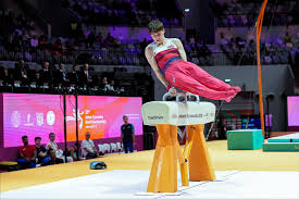 Image result for Notts School Of Gymnastics