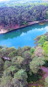 Image result for Wareham and Purbeck Badminton Club